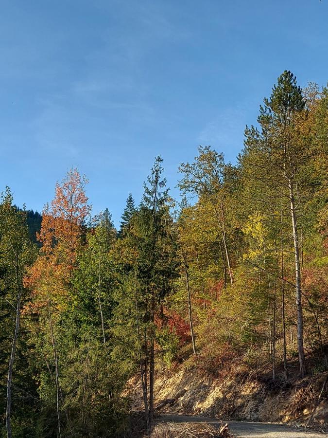 Vila Tarska Carolija Zaovine Popovići Exteriér fotografie